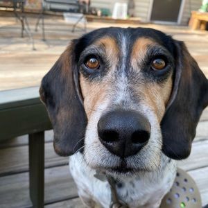 Meet your Posher, Jeanne